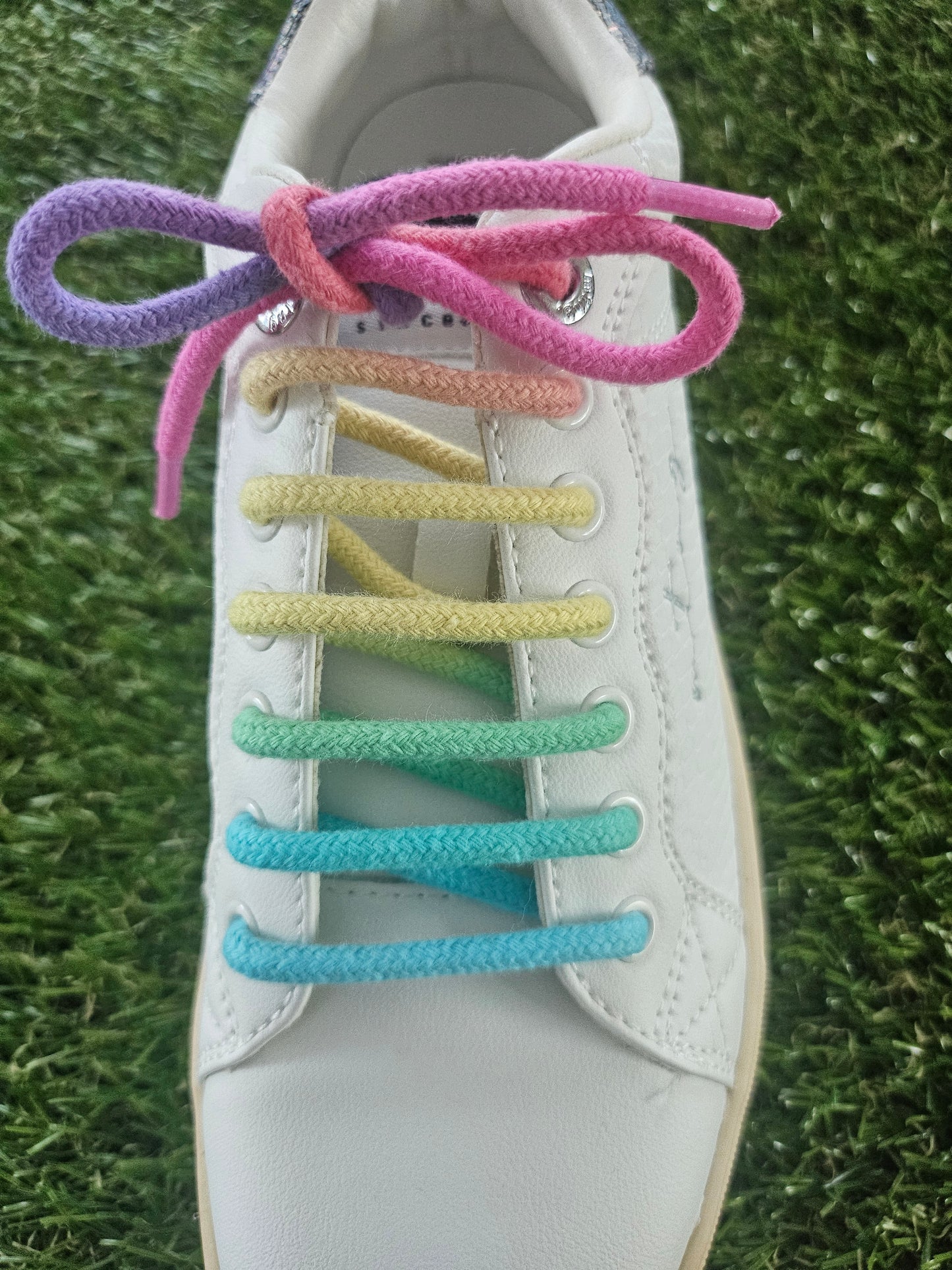 White shoe with colorful shoelaces on a grass background
