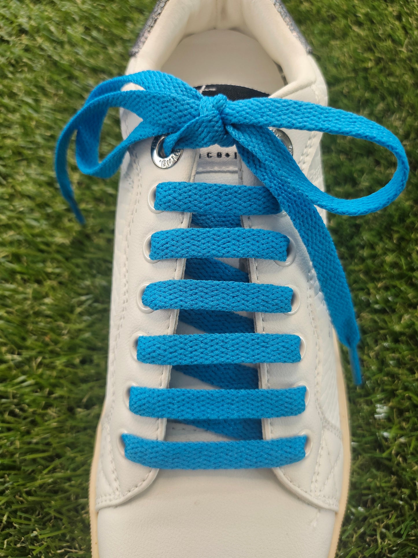 White shoe with blue shoelaces on a grass background